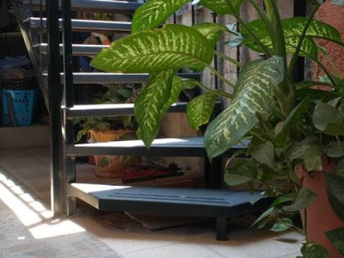 TERRAZA - Gallery - 23