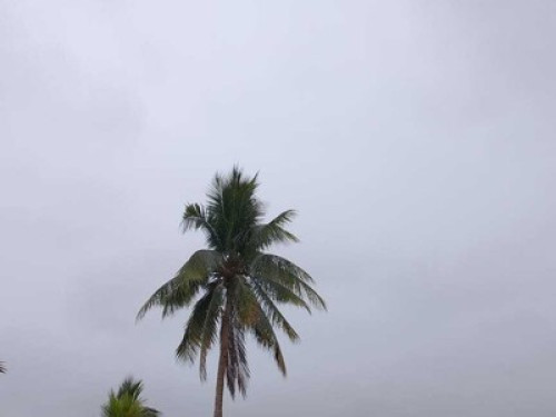 TERRAZA - Gallery - 19