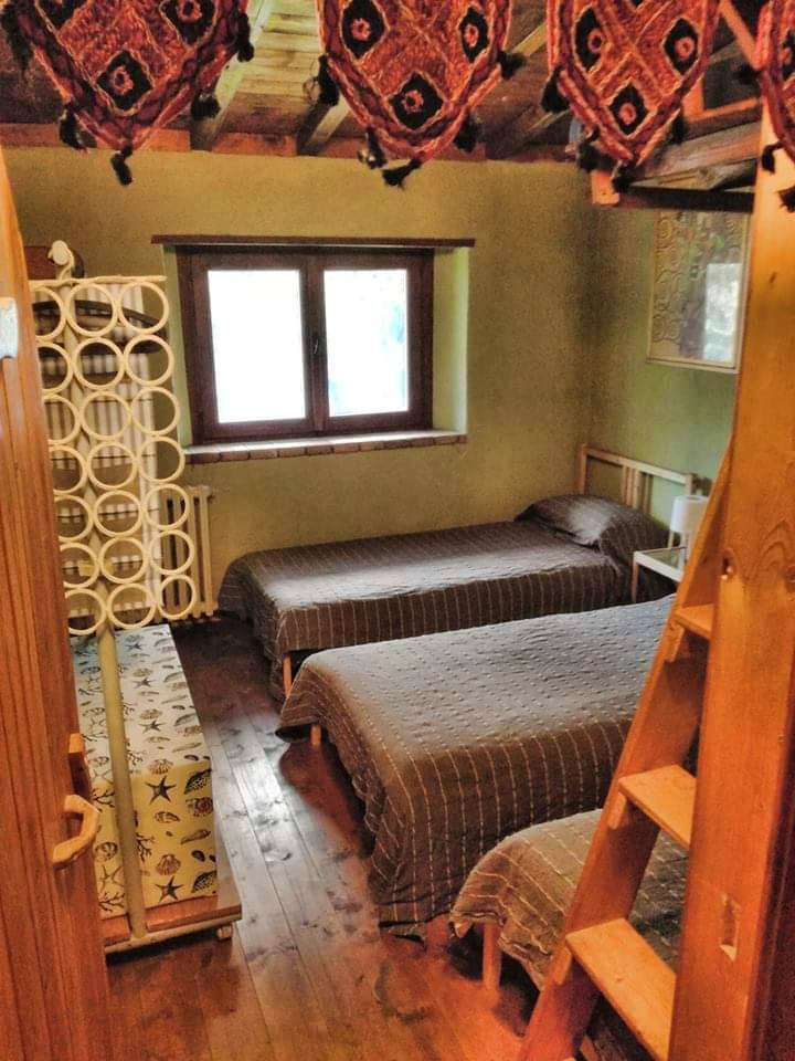 Bed In A 3-Bed Mixed Gender Room - 1