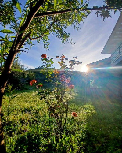 Charming Rural Coliving with Scenic Nature Views in Alvados