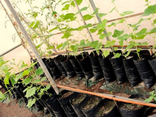 Passion for nature and art - Gallery - 24
