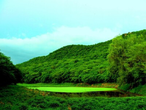 Passion for nature and art - Gallery - 14