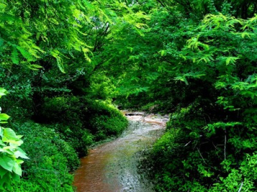 Passion for nature and art - Gallery - 21