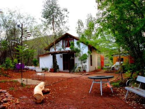 Pasión por la naturaleza y el arte