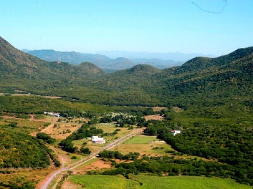Pasión por la naturaleza y el arte