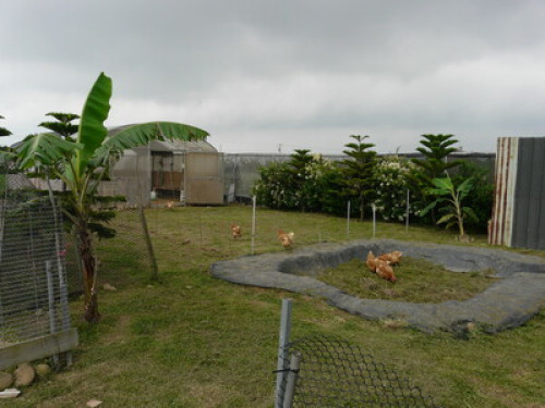 experience a country life with us  - Gallery - 6