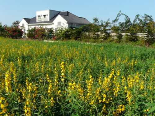 experience a country life with us 