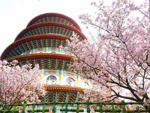 台北溫暖的家  - Gallery -  5