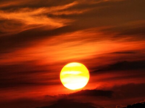 Wilton Manors Area min to Beaches - Gallery - 9