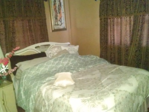Cozy house in Sunny Pinellas Park - Gallery - 9