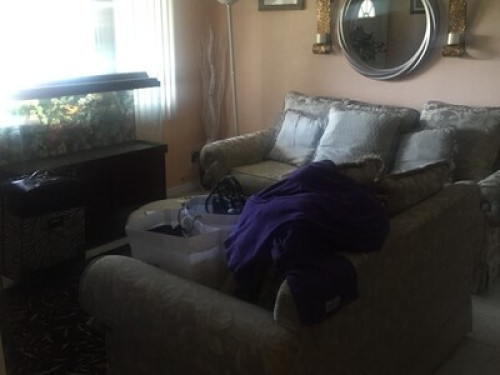 Cozy house in Sunny Pinellas Park - Gallery - 6