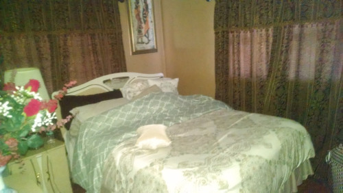 Cozy house in Sunny Pinellas Park - Gallery - 10