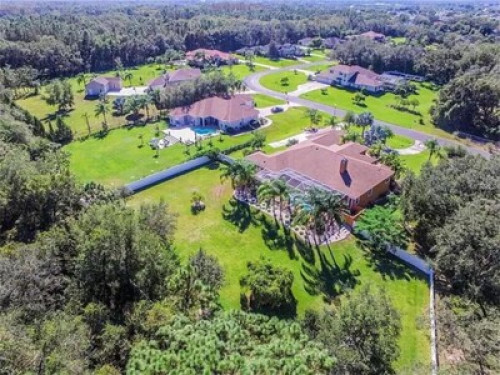 Secluded paradise in sunny Florida - Gallery - 9