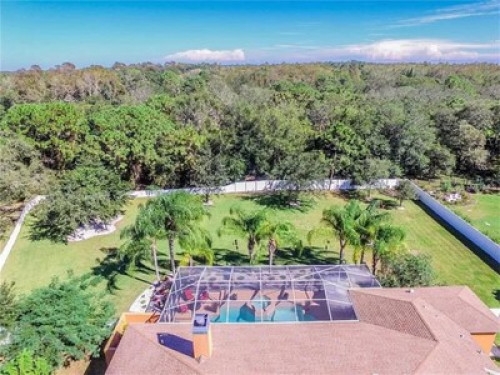 Secluded paradise in sunny Florida - Gallery - 10