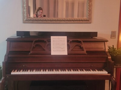 Harmony Room on the Lake Queen TV