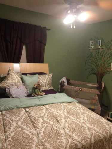 Florida Getaway - Gallery - 7