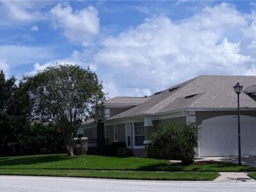 Room Rental Kissimmee   - Gallery -  5
