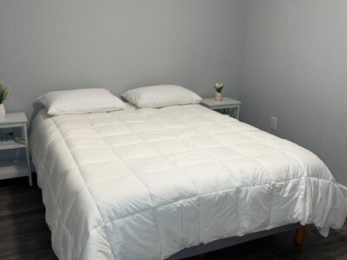 Your home in Orlando - Gallery - 7