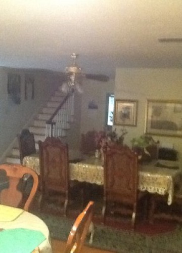 Caribbean family living in the U.S - Gallery - 12