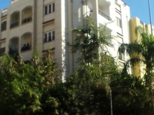 A lovely apartment
