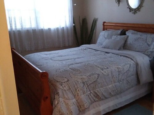 Comfortable house with Wi-Fi  - Gallery - 7