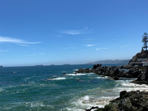 Se comparte departamento - Gallery - 4