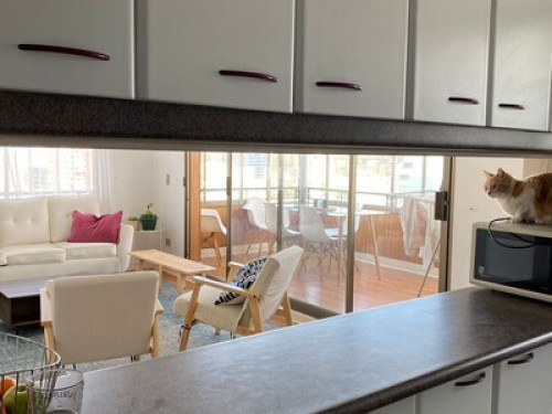 Se comparte departamento - Gallery - 10