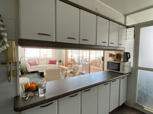 Se comparte departamento - Gallery - 9