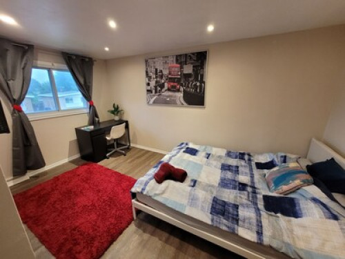 Tamer Housa  - Gallery -  5