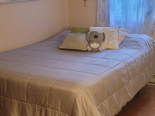 QUIET CLEAN BEDROOMS - Gallery - 29