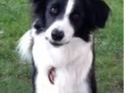 Garden and organic kitchen