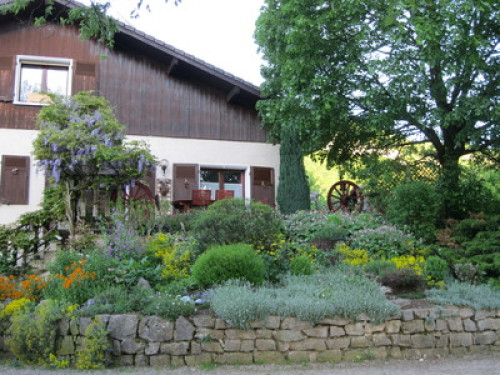 Garden and organic kitchen