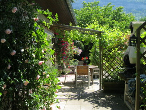 Garden and organic kitchen