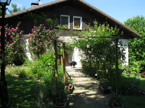 Garden and organic kitchen - Gallery - 14