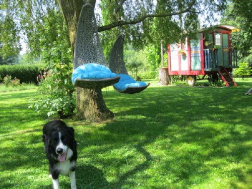 Garden and organic kitchen