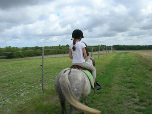 Ferme des Geais - Gallery - 6