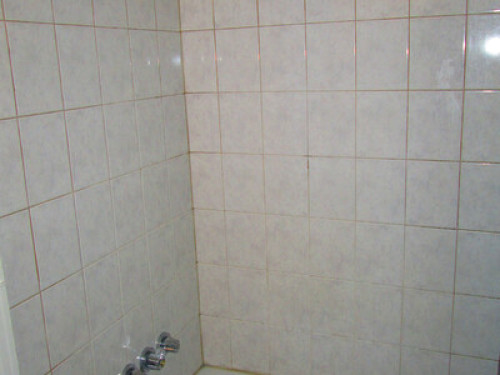 Cozy Rooms in a Quiet Neighborhood