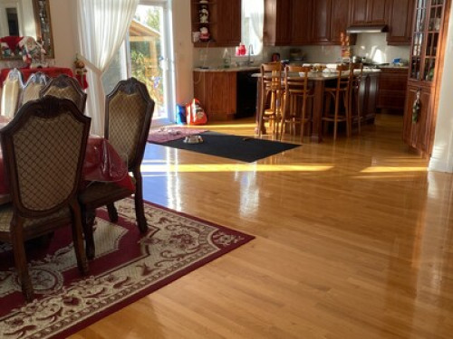 INTERNATIONAL STUDENTS ONLY  - Gallery -  5