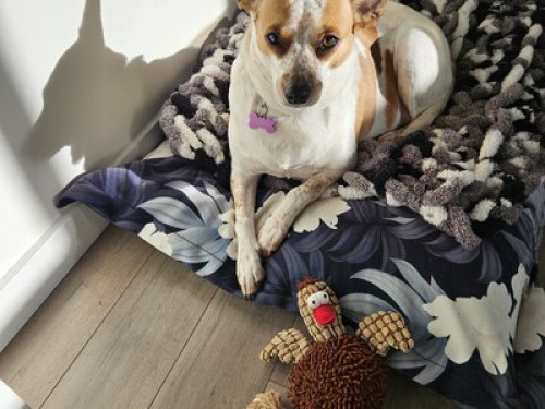 Cozy spot close to Montreal