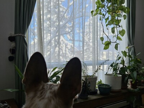 Cozy spot close to Montreal  - Gallery -  5