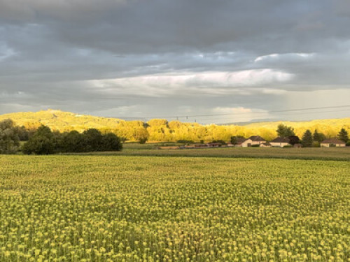 5 rooms to rent in Vénérieu