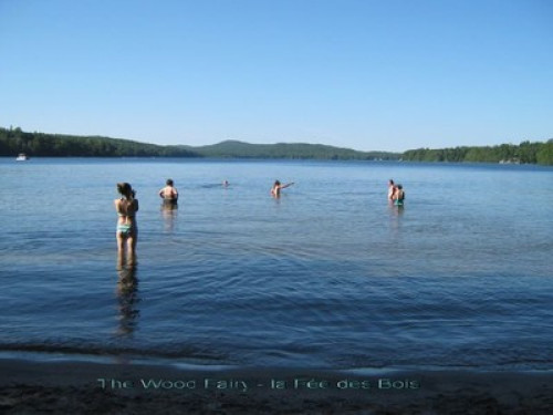 Quiet Lakeside Home in the Woods