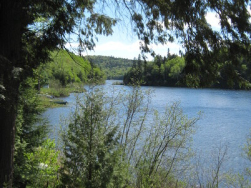 Quiet Lakeside Home in the Woods