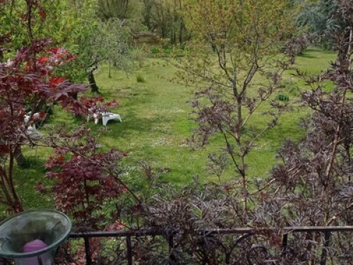 small independent house  - Gallery -  5