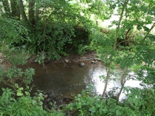 Farm near by river - Gallery - 6