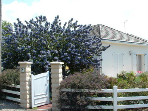 Quiet House 2 km From the sea