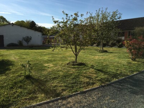 House in the vineyard of Reuilly - Gallery - 10
