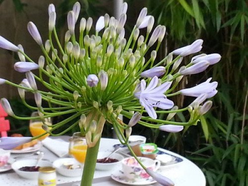 Mansion in the heart of the Berry  - Gallery -  5