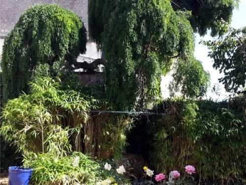 Mansion in the heart of the Berry