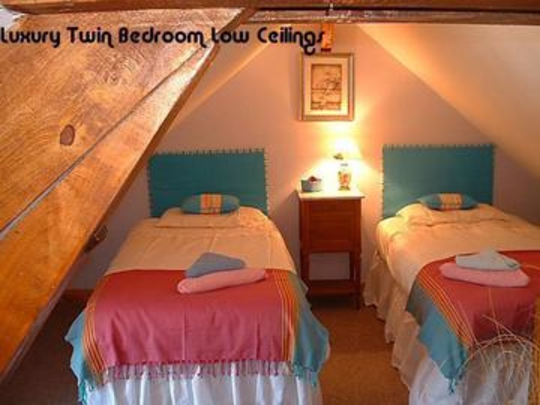 Cosy Twin(Full Room) - 1